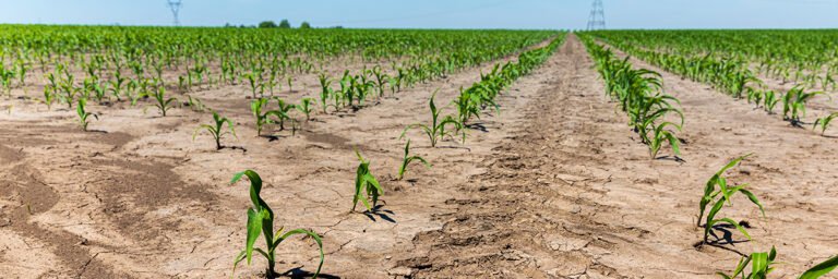 Qué otro nombre recibe el cloruro de calcio