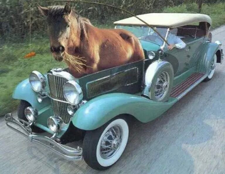 Cuántos caballos de fuerza necesita una bomba de agua para llevar