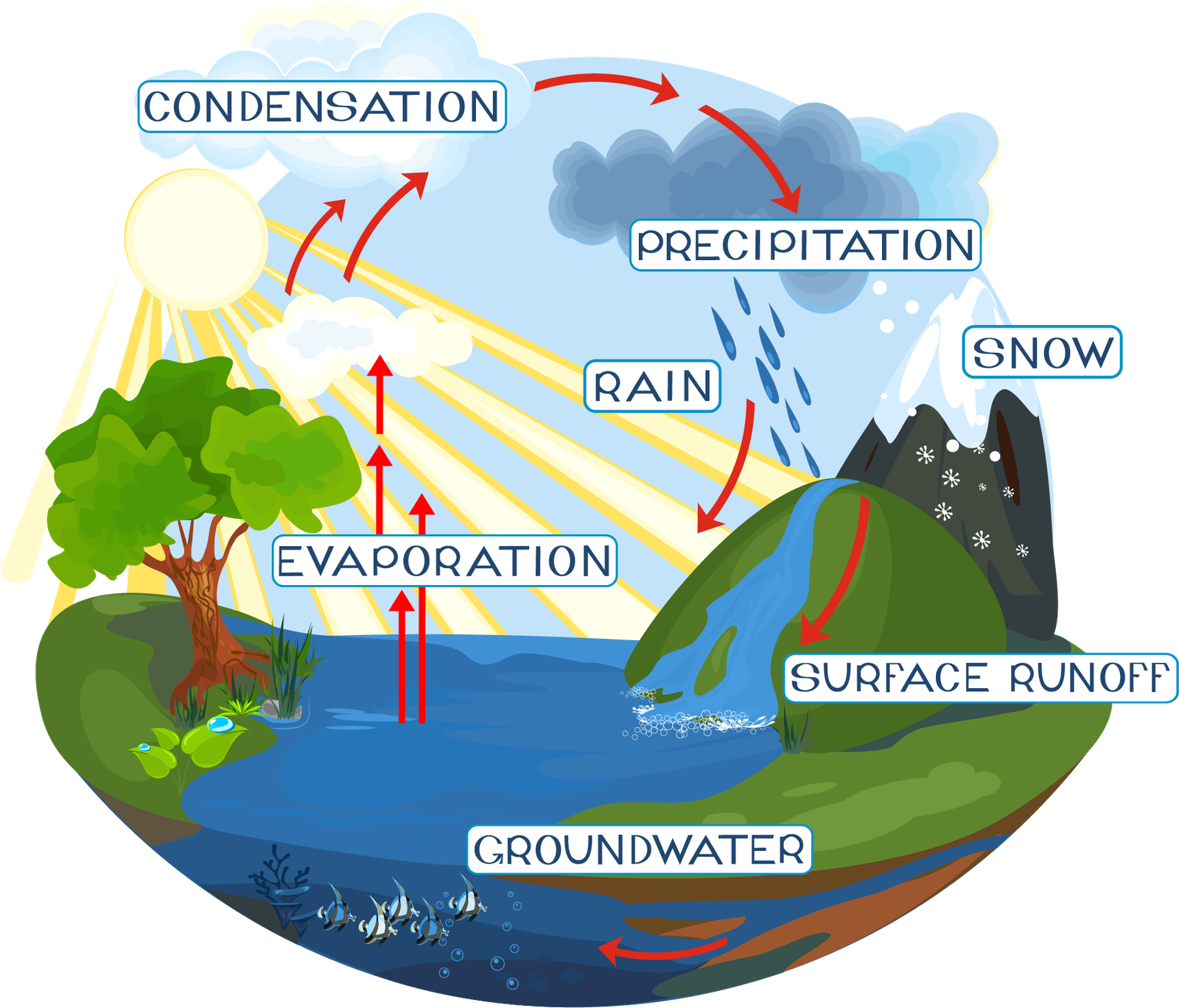 Visualización de impurezas en el agua potable