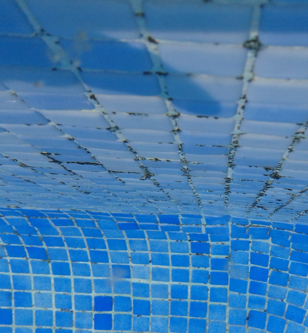 como eliminar algas marrones en piscina