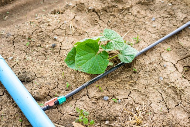 Cómo hacer una instalación de riego por goteo