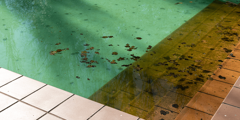 Cómo limpiar una piscina que está sucia