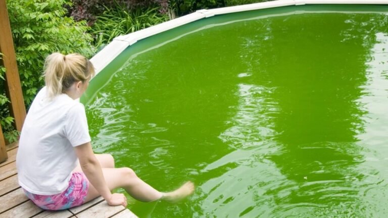 Cómo limpiar una piscina verde después del invierno