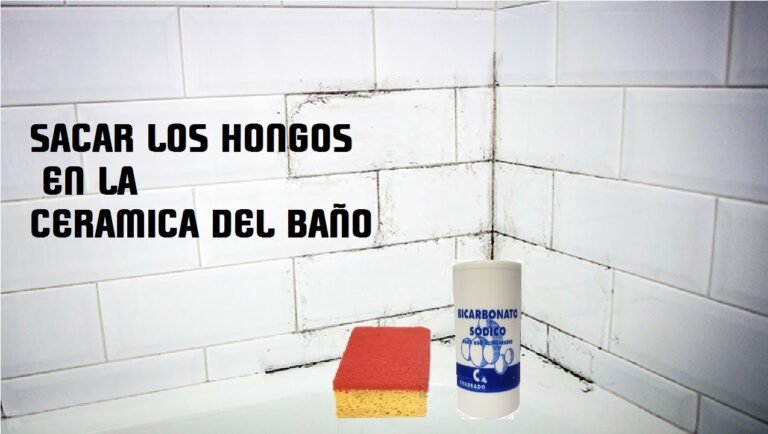 Cómo quitar el moho de las baldosas