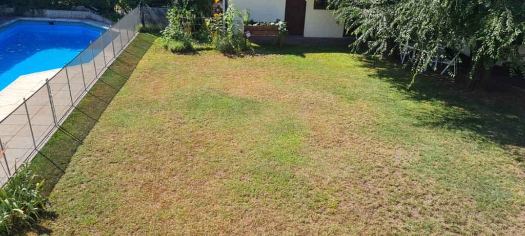 como regar grama bahiana en invierno