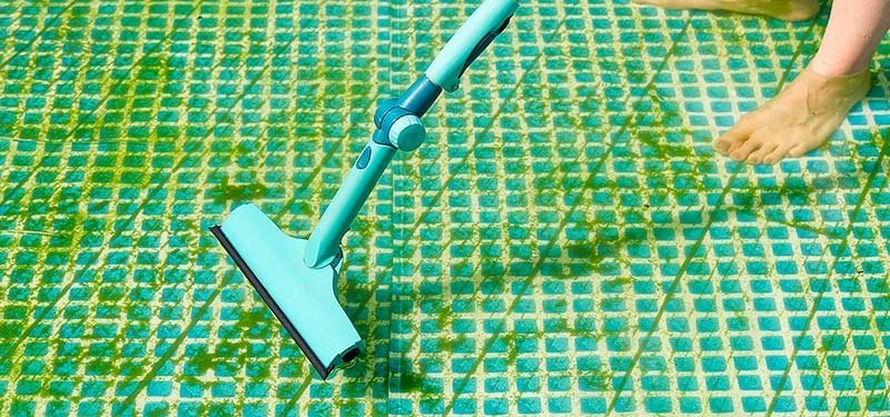 como se quita lo verde del piso de la piscina guia de mantenimiento
