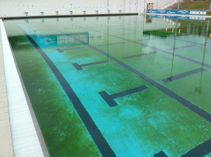 Cómo se ve una piscina con algas: Guía de mantenimiento y cuidado