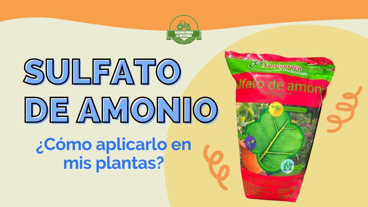 cuando aplicar sulfato de amonio a las plantas