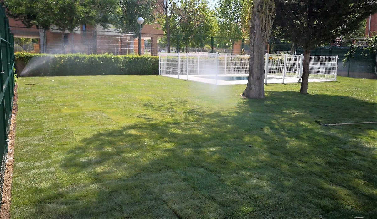 cuando es la mejor hora para regar el cesped en verano