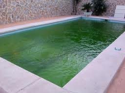 Cuando llueve la piscina se pone verde