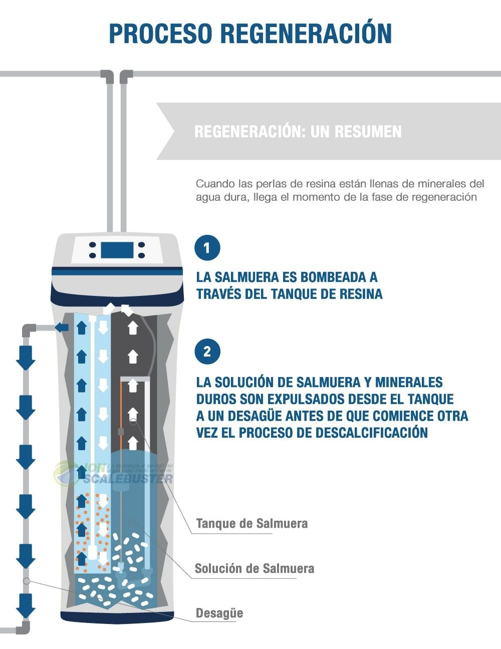 cuantas veces regenera un descalcificador