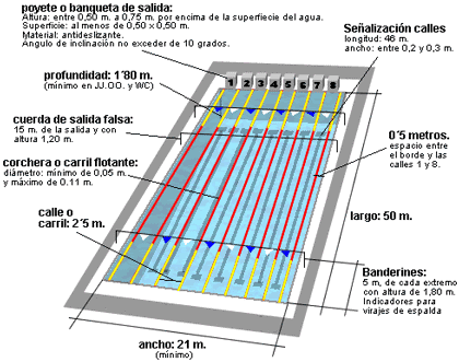 Cuánto mide una piscina de 25 metros