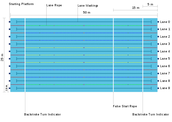Cuánto tiene una piscina olímpica