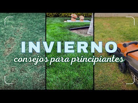 Cómo mejorar mi césped en invierno