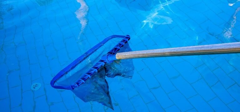 Cómo me deshago de las algas de mi piscina después del invierno