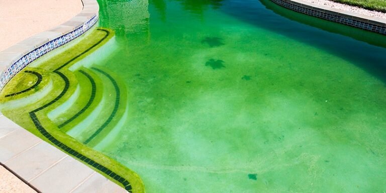 Qué hacer si te salen algas en la piscina