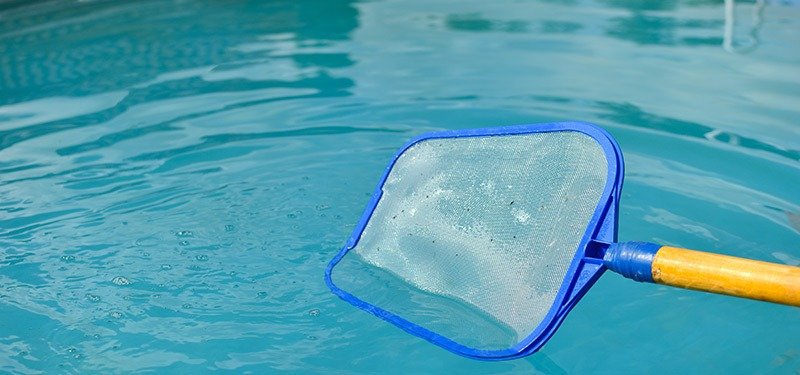 que mata a las larvas en tu piscina consejos de mantenimiento y cuidado