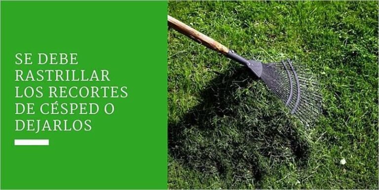 Qué pasa si no se recoge el pasto cortado