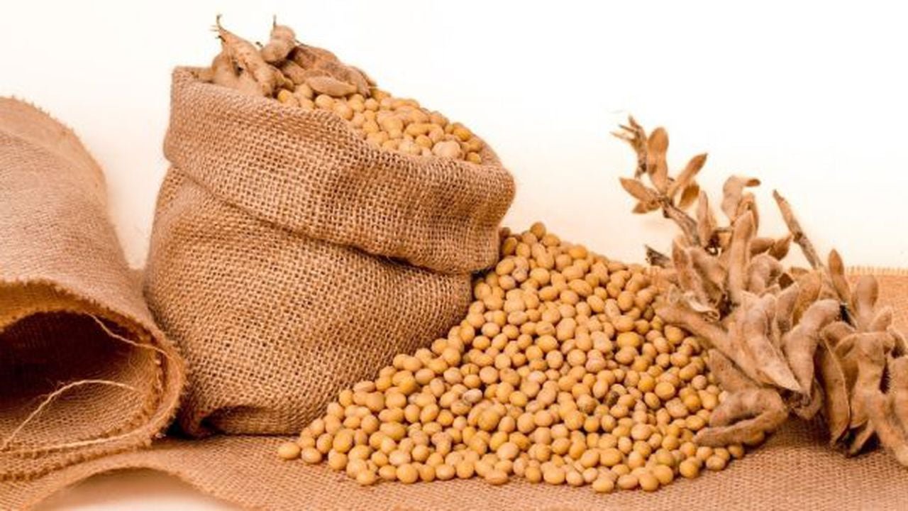 que pasa si tomo proteina de soja todos los dias