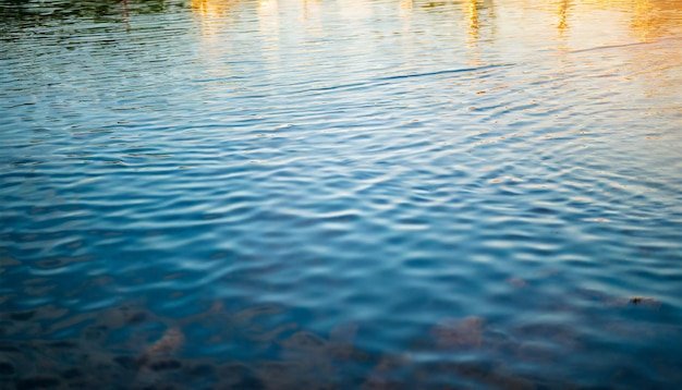 Por qué el agua de las piscinas se ve azul