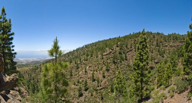 Qué actividades ofrece Sandos San Blas Nature en Tenerife