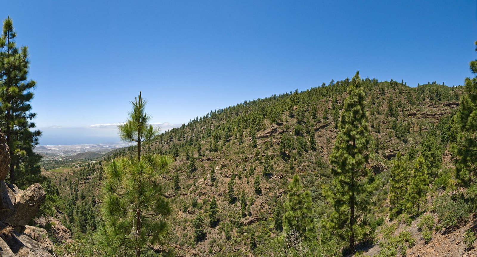 actividades al aire libre en tenerife