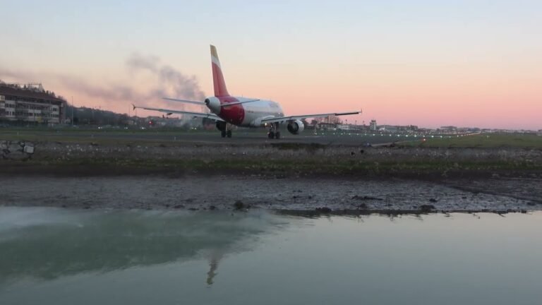Dónde encontrar vuelos Vueling de San Sebastián a Madrid
