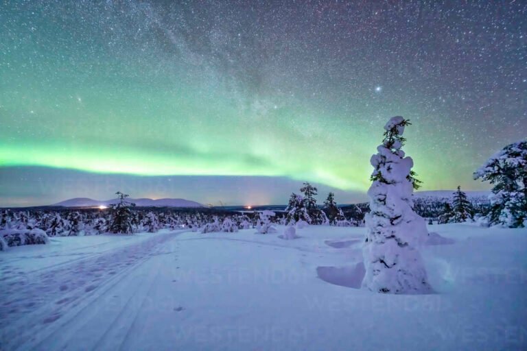 Dónde encontrar viajes organizados para ver la aurora boreal