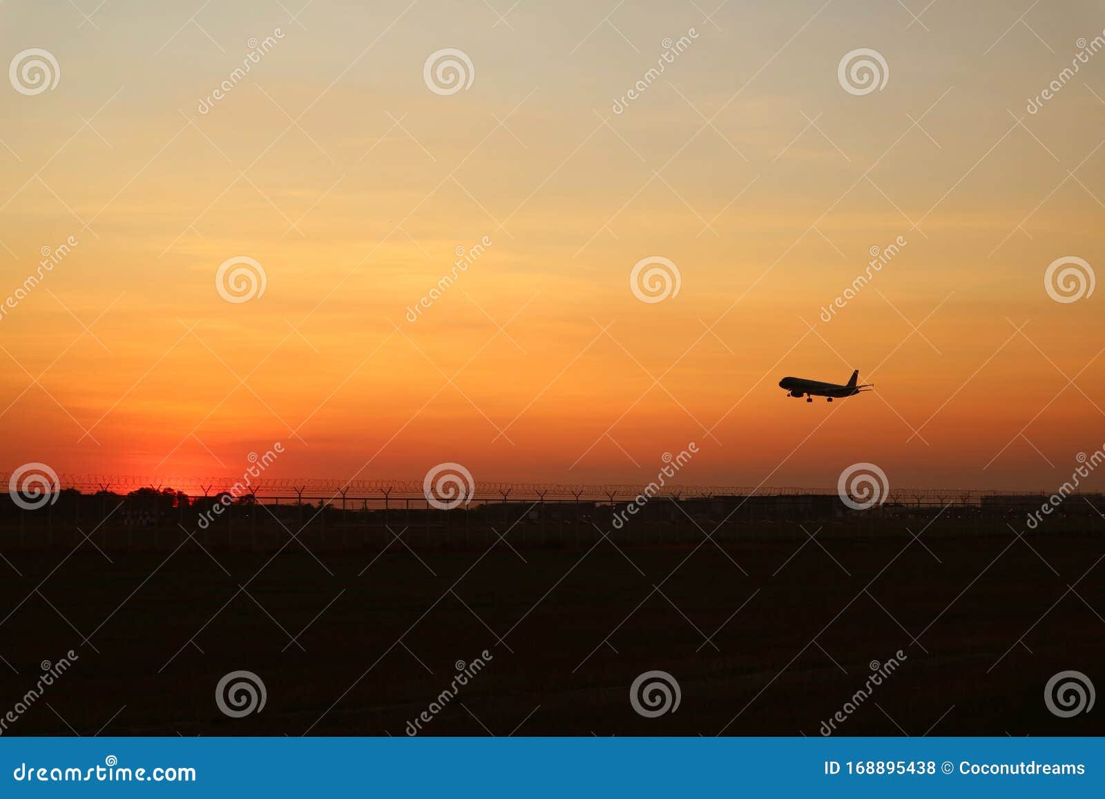 avion despegando hacia el horizonte soleado