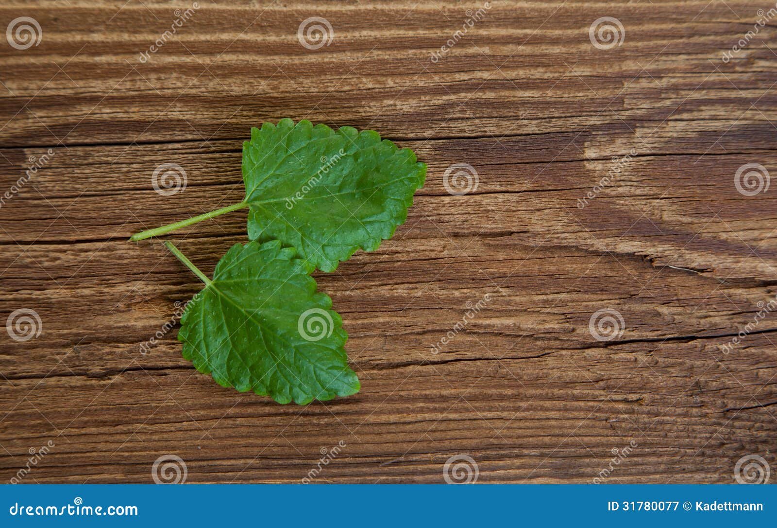 balsamo natural sobre fondo de madera