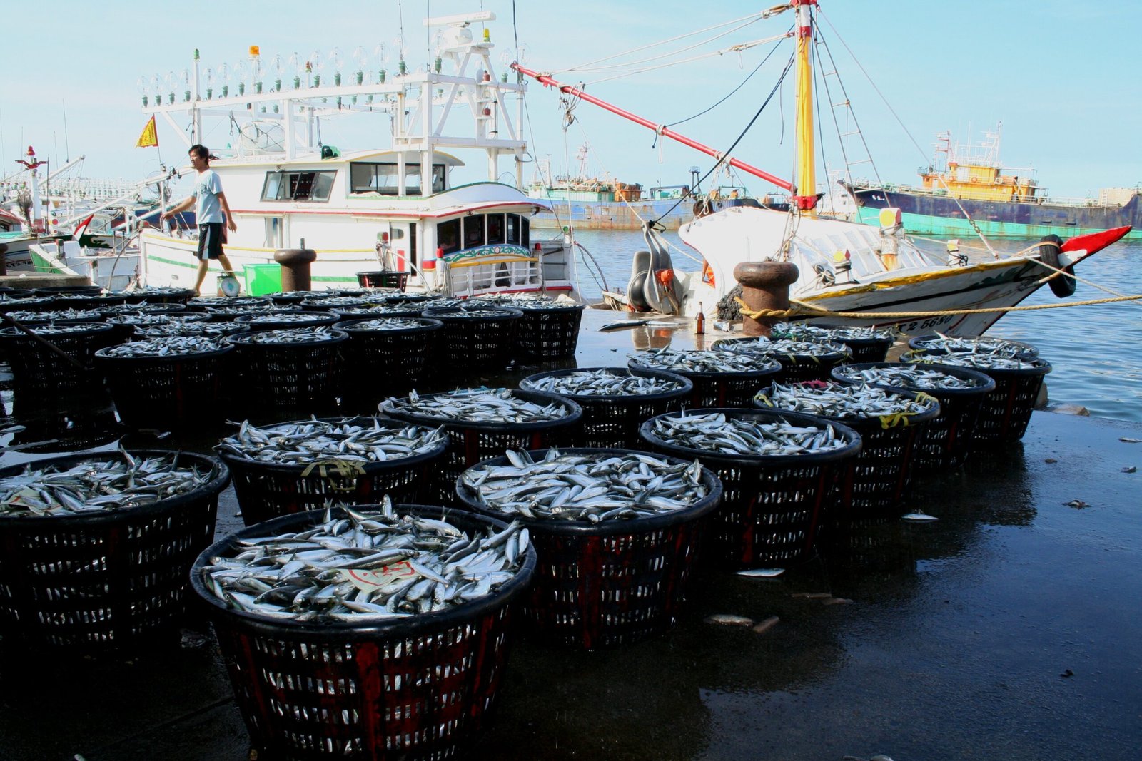 barco de pesca en puerto con mariscos scaled