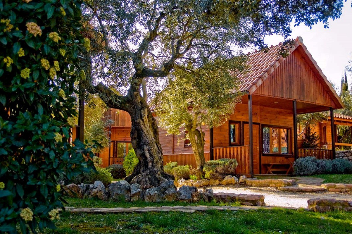 bungalows en un camping rodeado de naturaleza