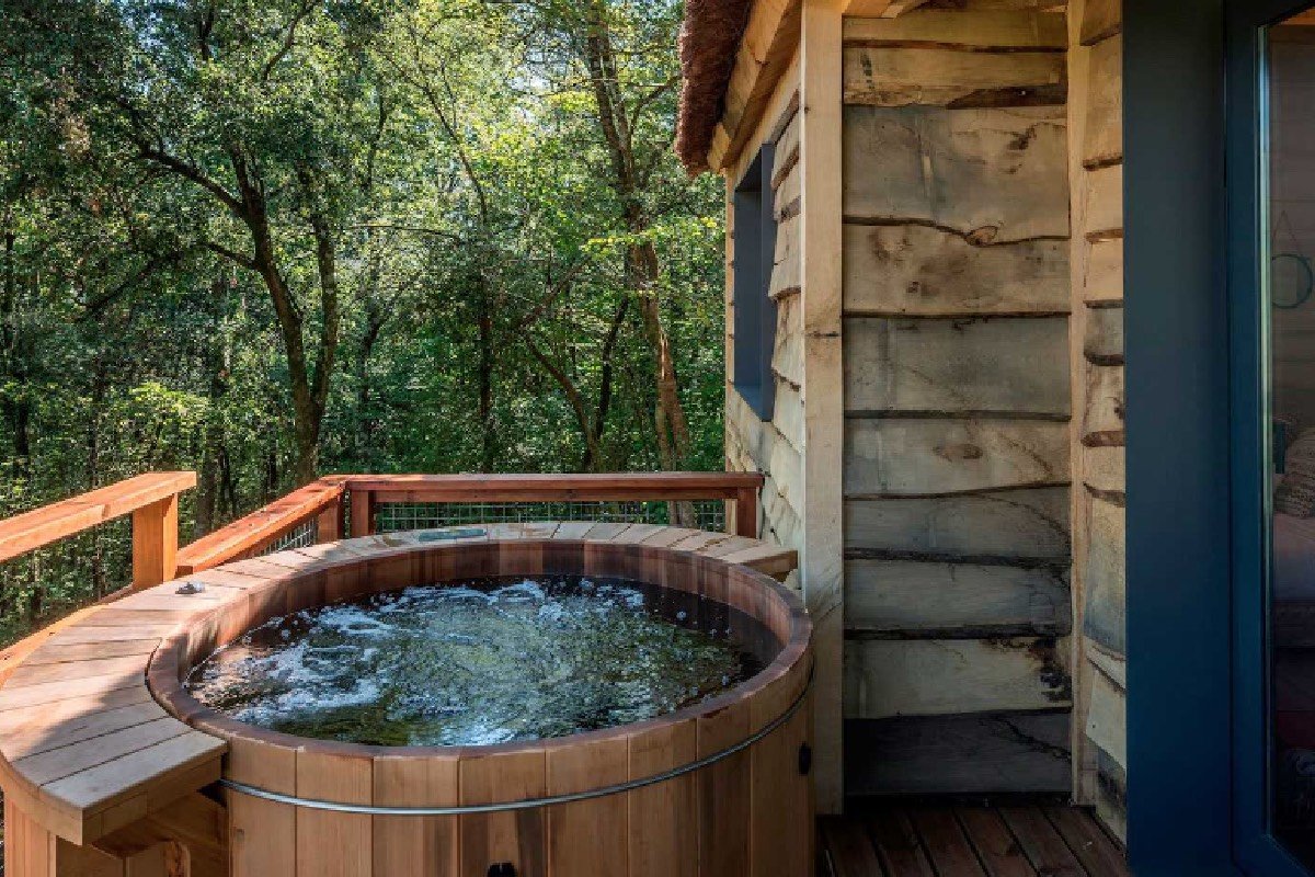 cabana de madera en un bosque asturiano