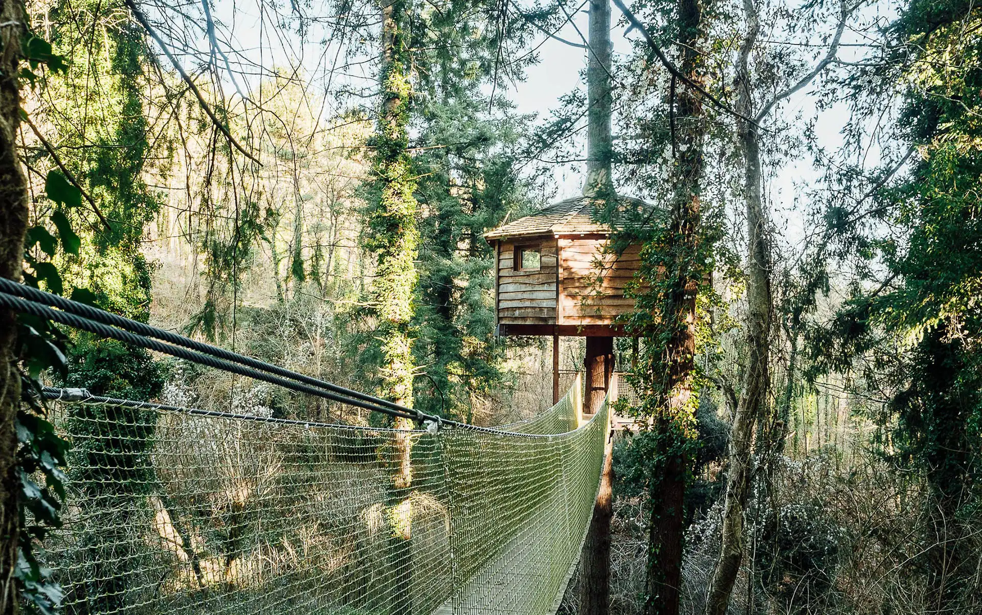 cabana en el arbol entre arboles verdes