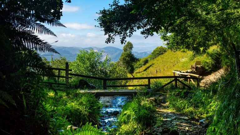 Cuáles son las etapas del Camino de Santiago desde Melide