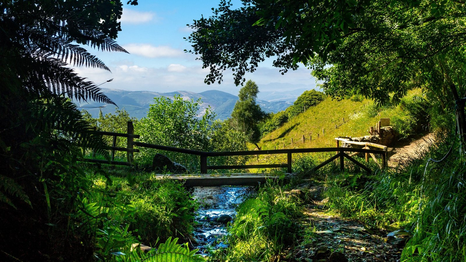 camino de santiago con paisajes verdes 1 scaled