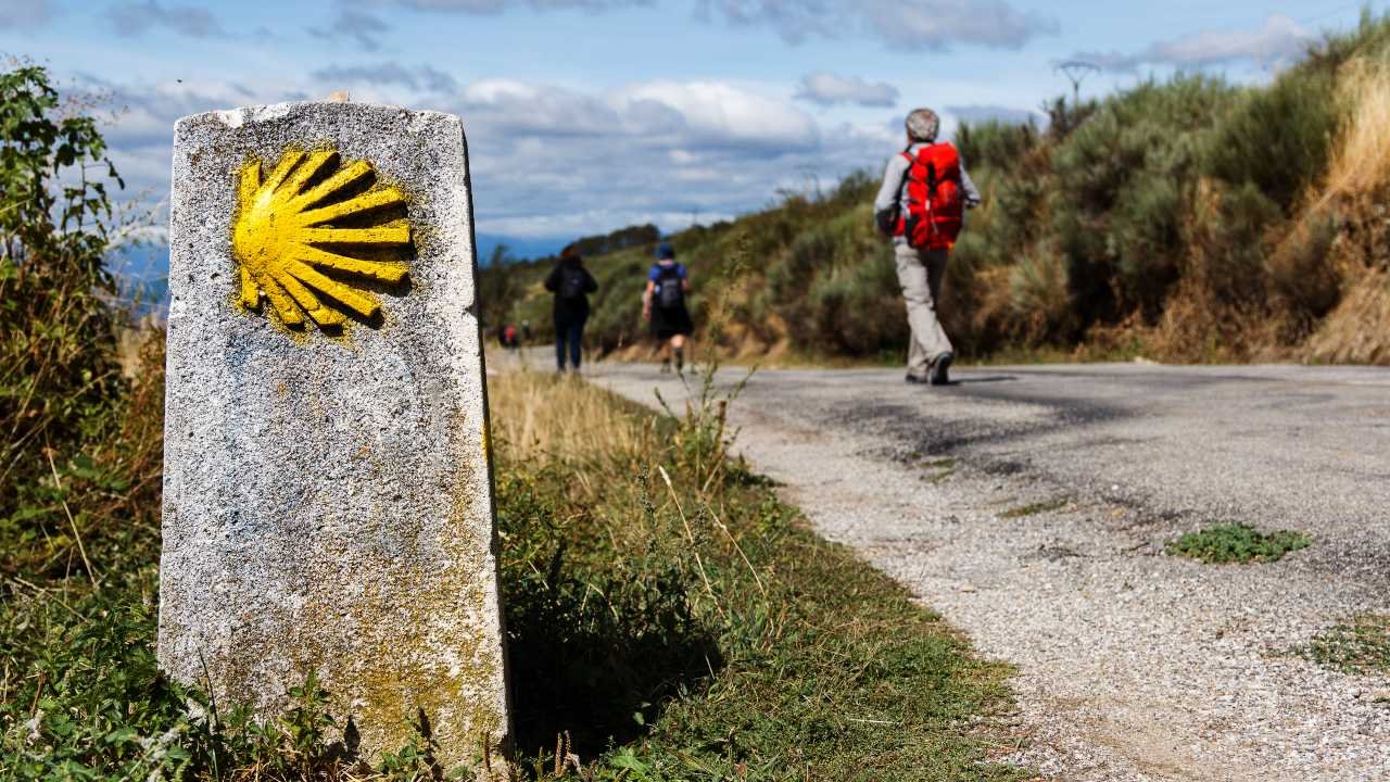 camino de santiago con peregrinos y naturaleza