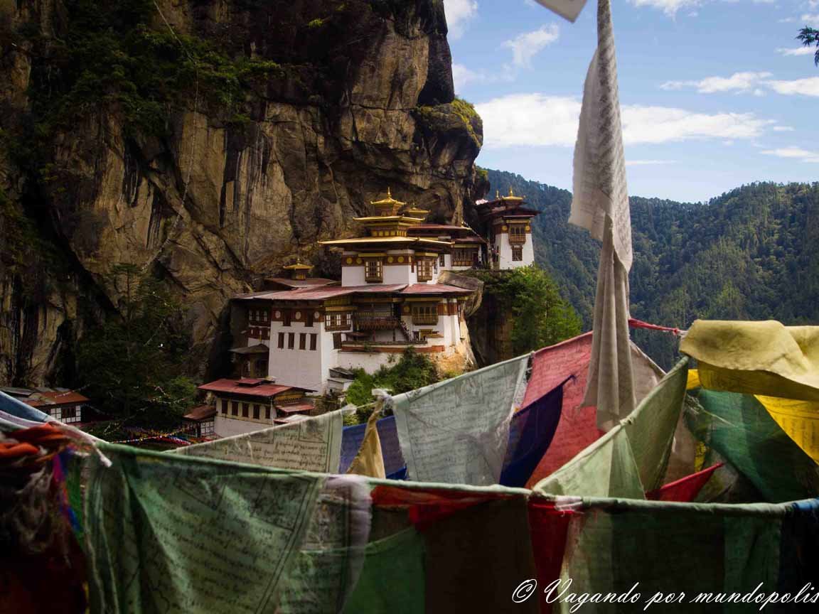 camino serpenteante hacia el nido