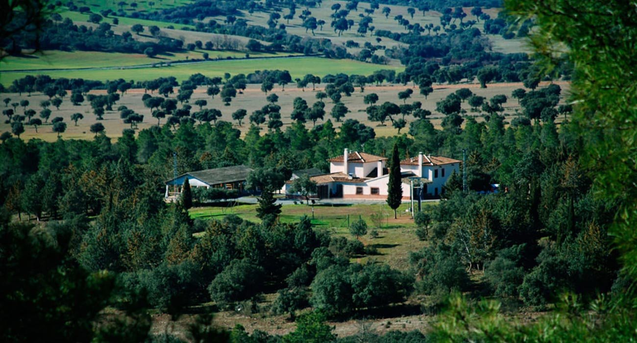 campamento en la naturaleza cerca de toledo