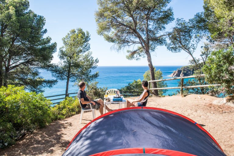 Dónde se encuentra el camping Delfín Verde en la Costa Brava