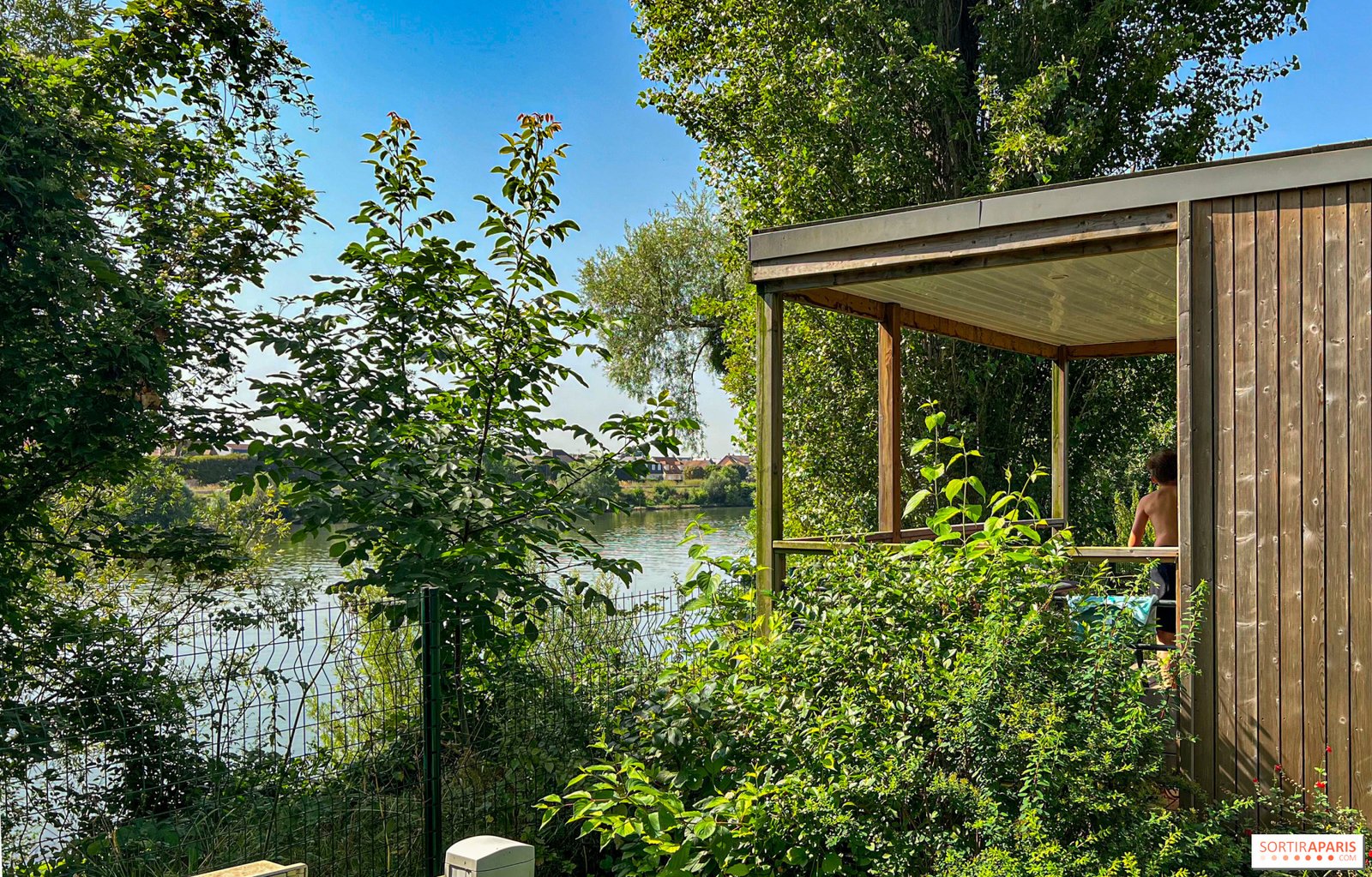 camping en la naturaleza con arboles