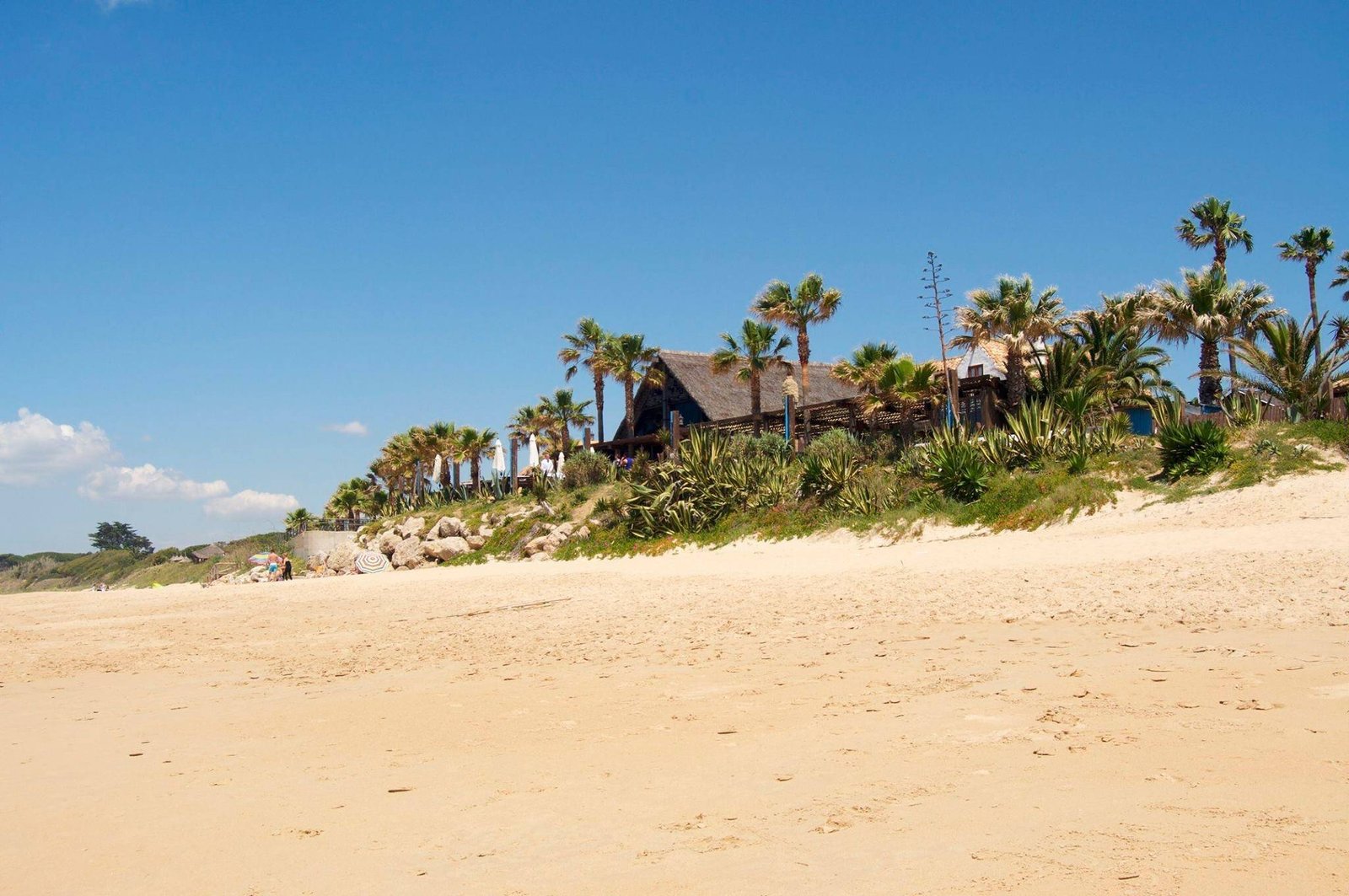 camping en la playa de zahora pinar