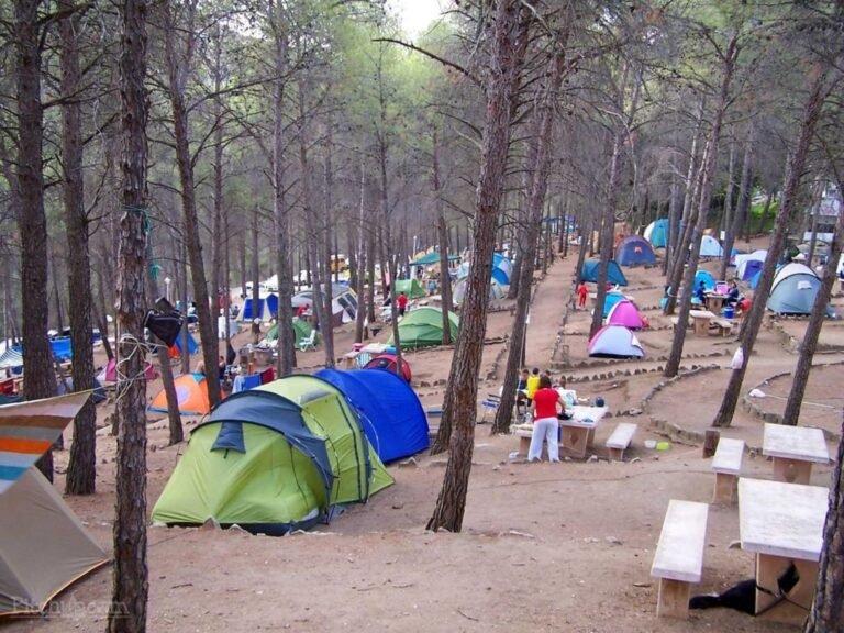 Dónde se encuentra el camping El Pino en Málaga Costa del Sol