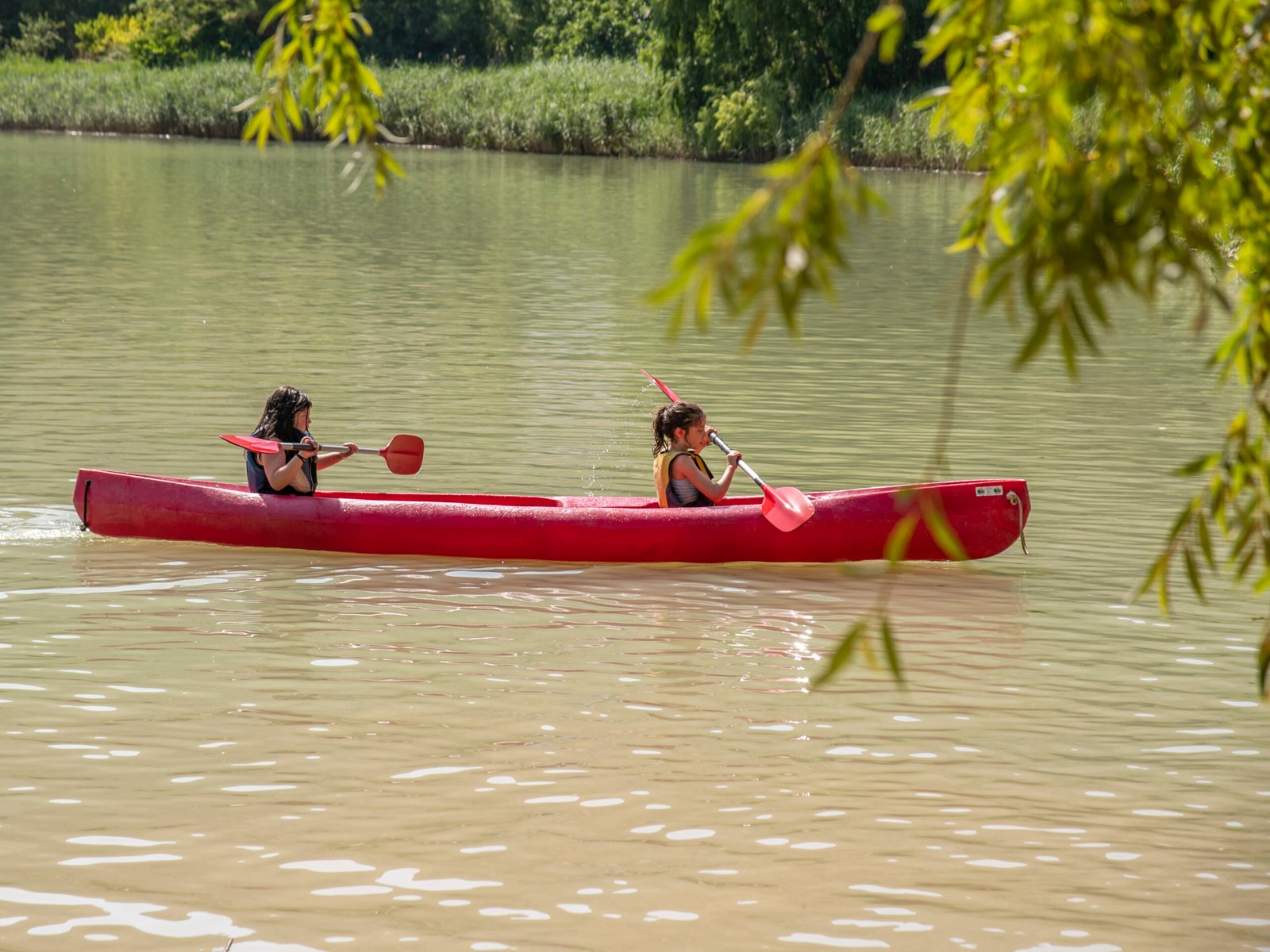 canoas navegando por el rio jucar