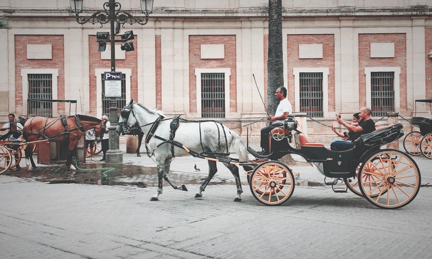carruaje tirado por caballos en sevilla