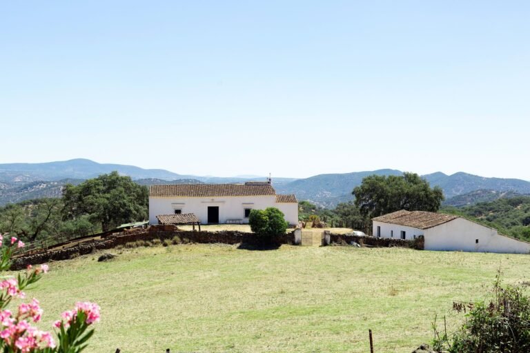 Dónde encontrar casas de campo baratas con agua y luz en Huelva