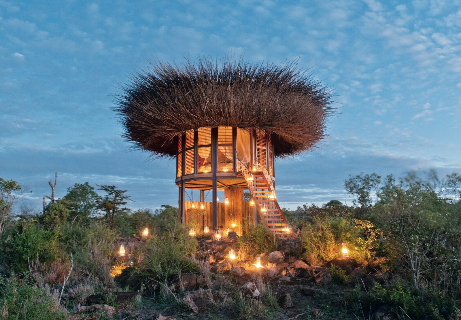 casas en el arbol en un paisaje natural scaled