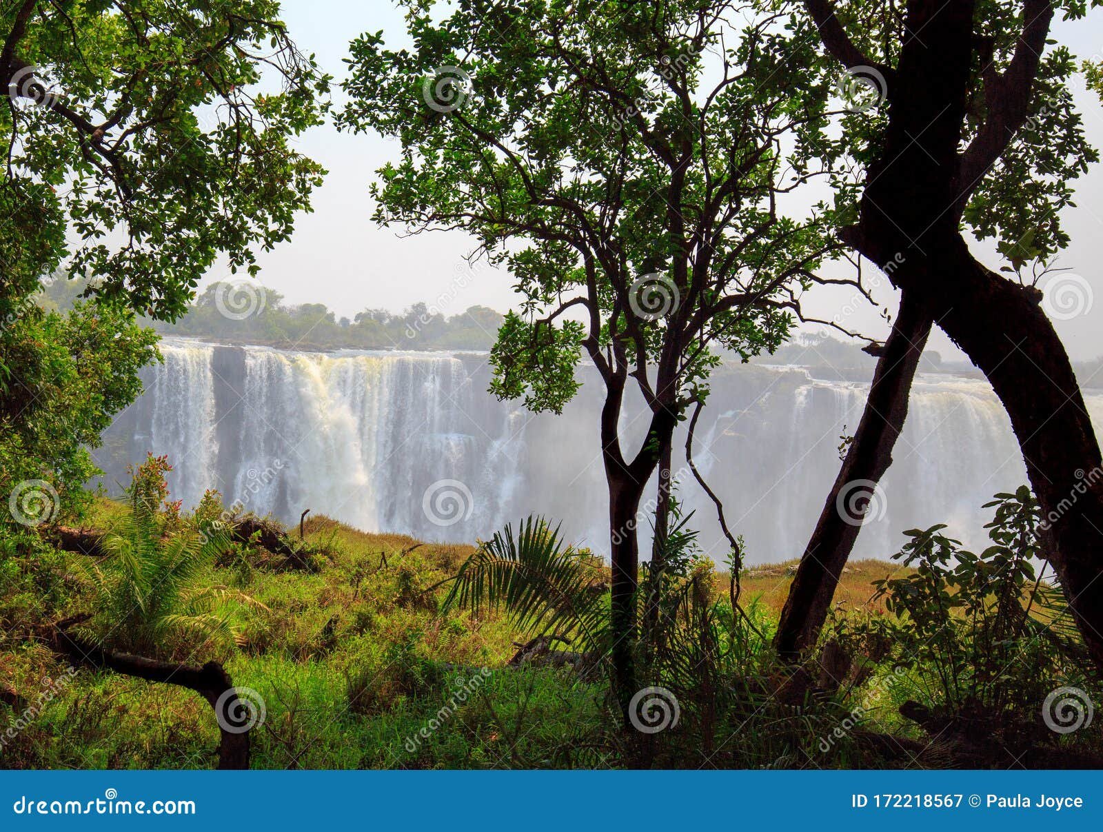 cataratas victoria rodeadas de naturaleza