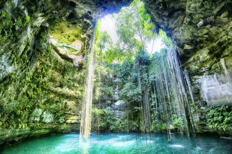 Dónde hacer excursiones a cenotes en la Riviera Maya