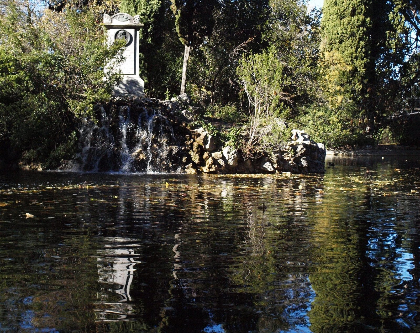 cisnes en un lago sereno en murcia scaled
